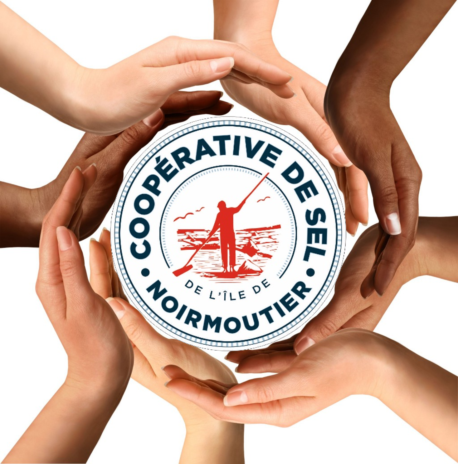 Image-mains-logo