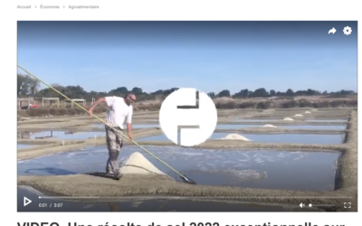 Une récolte de sel 2022 exceptionnelle sur l’île de Noirmoutier