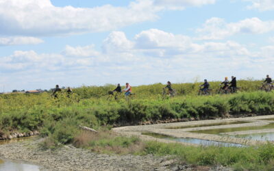 Balades à vélo dans les marais salants de Noirmoutier
