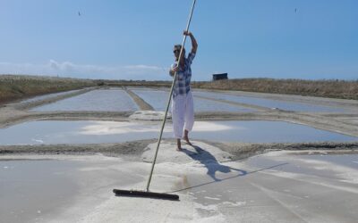 Cet été au cœur des marais salants – Balades, rencontres et moments inoubliables à partager